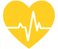 contribuisce alla normale funzione cardiaca