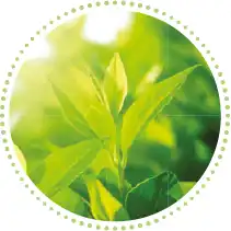 ottimi ingredienti