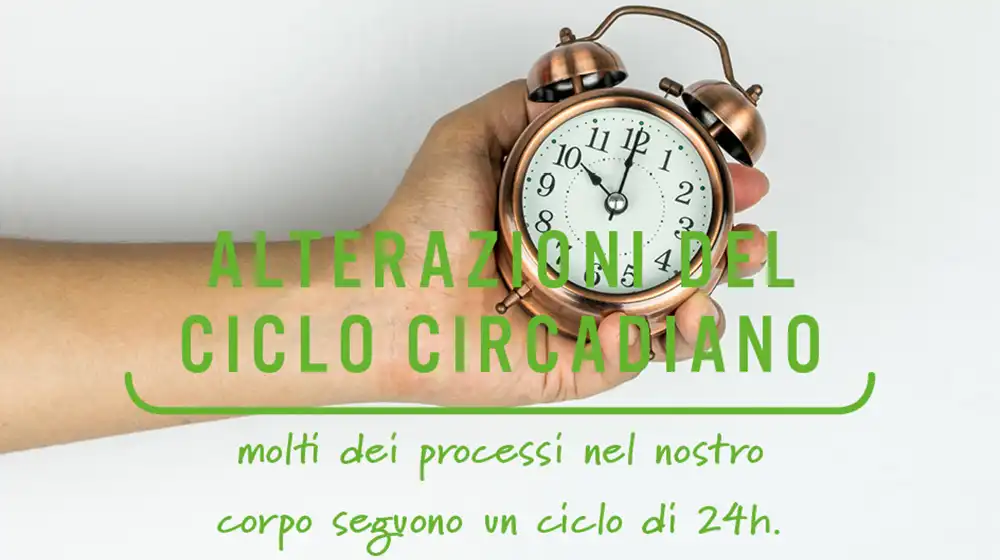 Alterazioni del ciclo circadiano: molti dei processi nel nostro corpo seguono un ciclo di 24 ore alterazioni del ciclo circadiano molti dei processi nel nostro corpo seguono un ciclo di 24 ore