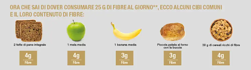 fibre alimentari quali sono ecco alcuni cibi con contenuto di fibre fibre alimentari quali sono ecco alcuni cibi con contenuto di fibre