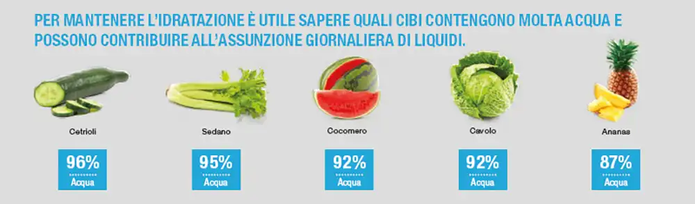 Quali cibi contengono molta acqua quali cibi contengono molta acqua